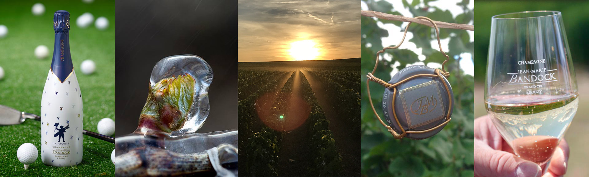 Photographic banner composed of 5 photos that summarize the work of Champagne Jean-Marie Bandock