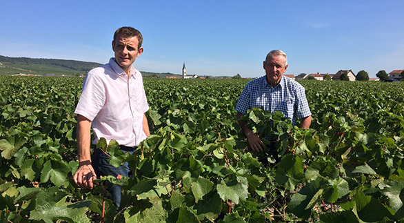 Photo of 2 winegrowers in their vineyards