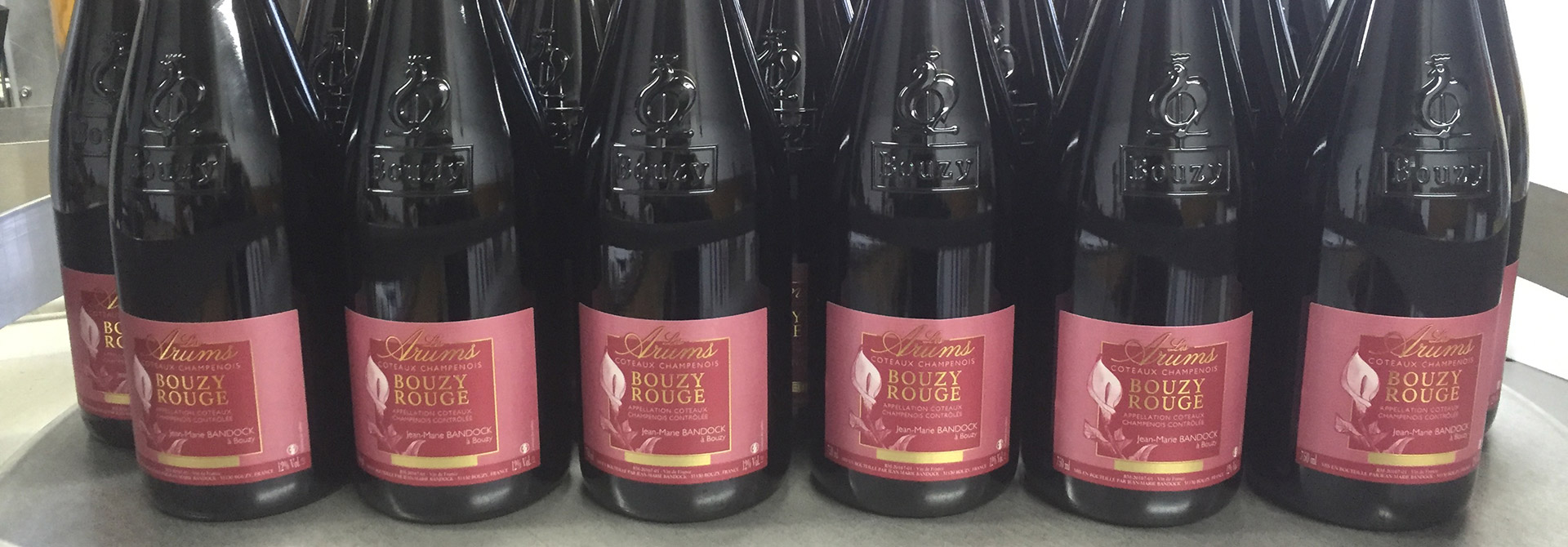 Several rows of the same bottle of Bouzy Rouge from Champagne Bandock